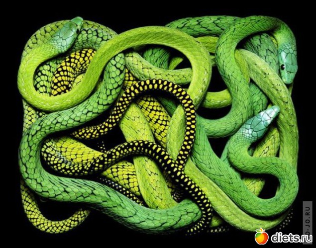 9 ����: ������