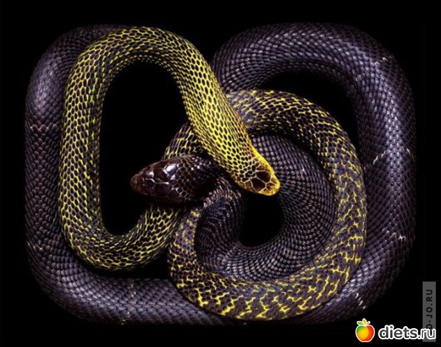 10 ����: ������