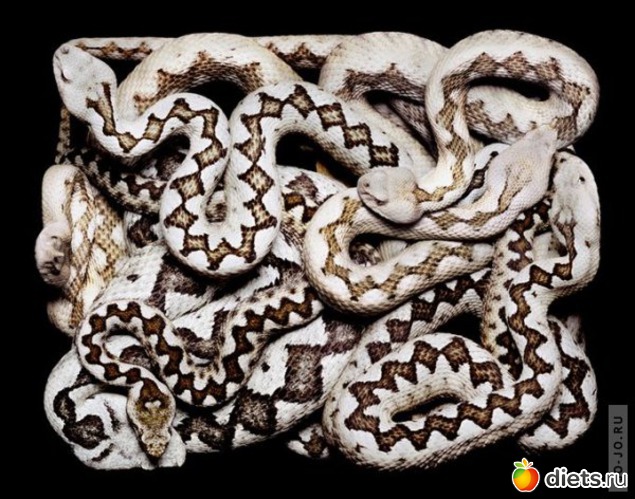 11 ����: ������