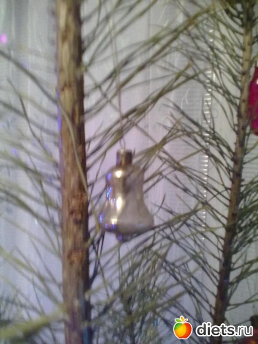 ���� ������� 24 ����, ������: ����� ���