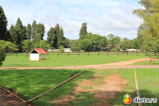 Наши лошади на прогулке, альбом: Моя Африка