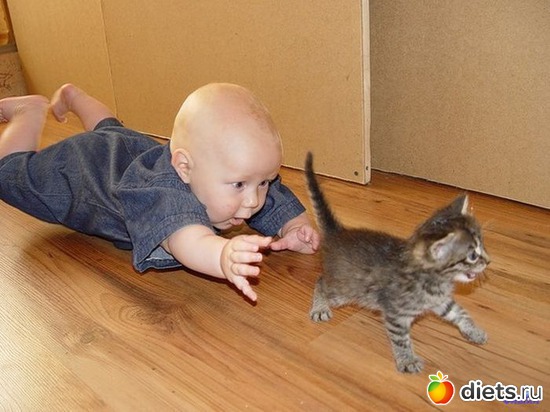 3 ����: �������