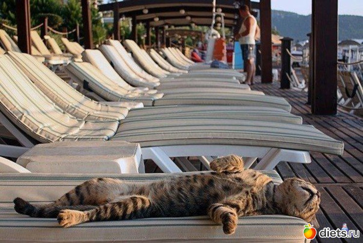 4 ����: �������