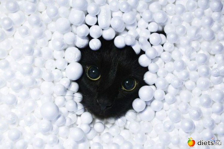 5 ����: �������