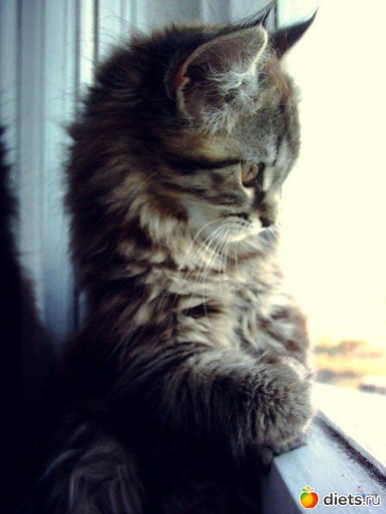 7 ����: �������