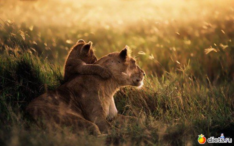 8 ����: �������