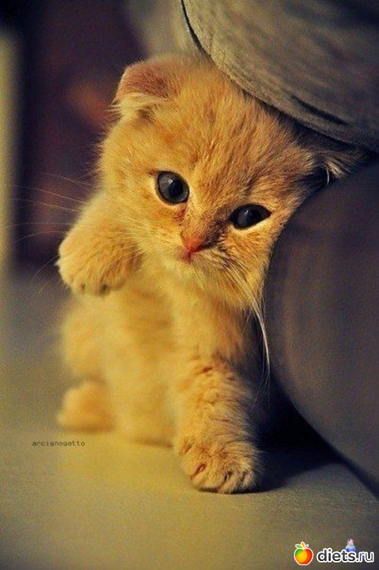 13 ����: �������