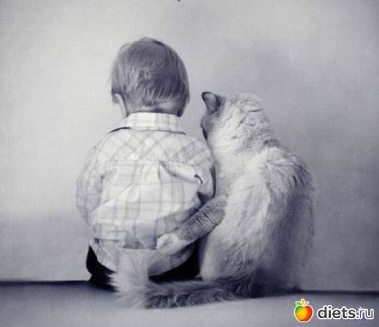 15 ����: �������