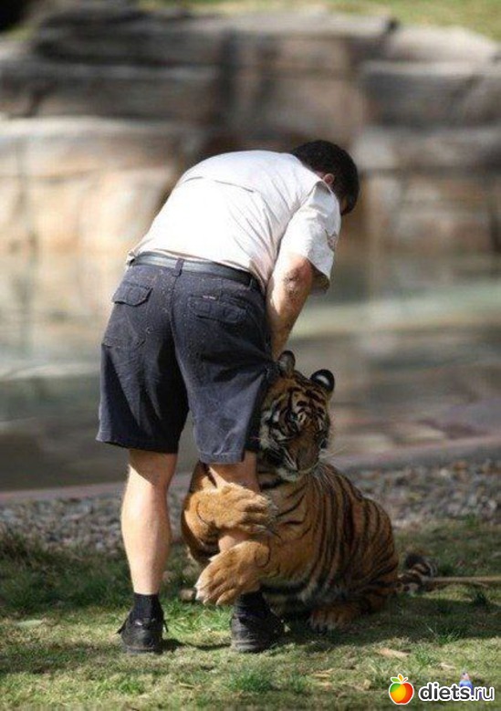 16 ����: �������