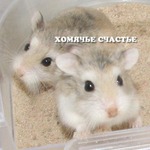 Фруктовый жор!