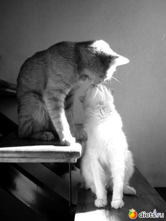 24 ����: �������