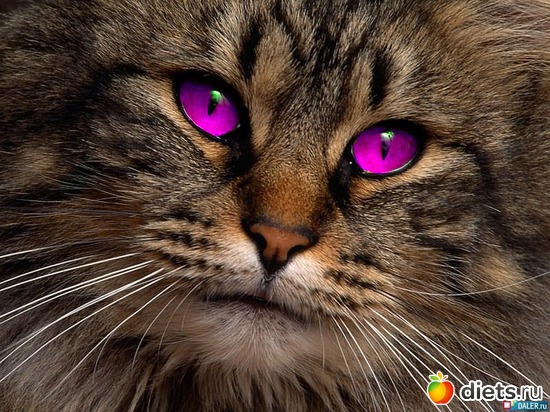 2 ����: ��� ������ �� ������� ����