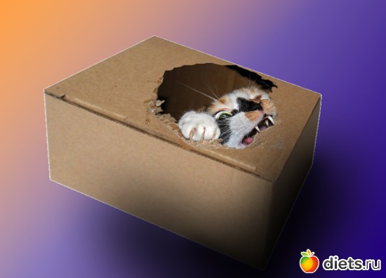 7 ����: ��� ������ �� ������� ����