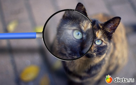 8 ����: ��� ������ �� ������� ����