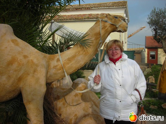 2 ����: �������