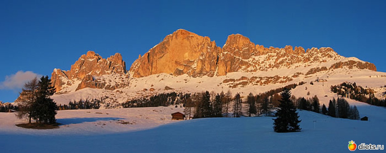 5 ����: �������