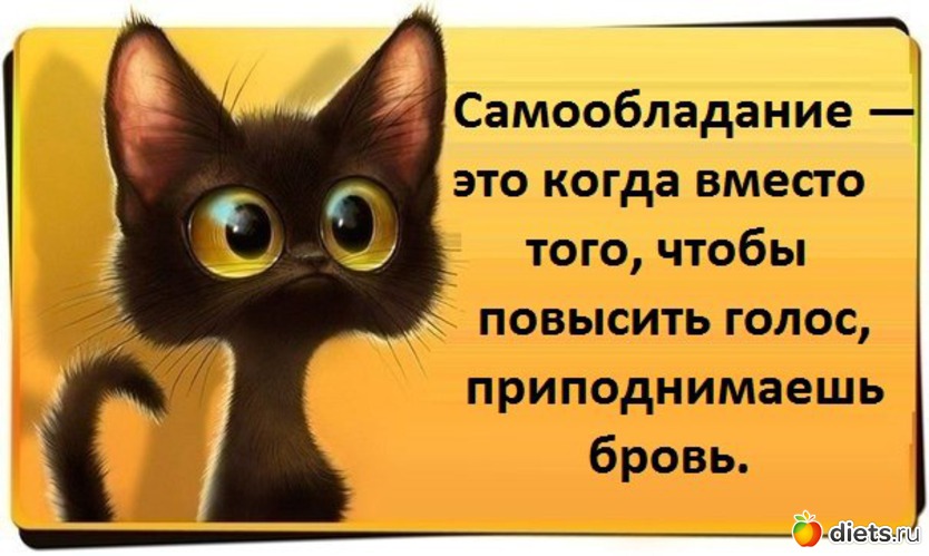 Самообладание, альбом: Для постов