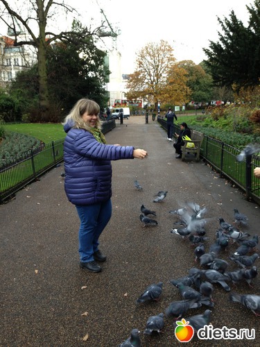 20.11.2012 ������ ����-����, ������: ����� ������ ����