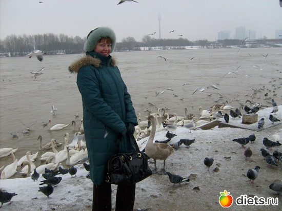 na Dunaye, ������: zima