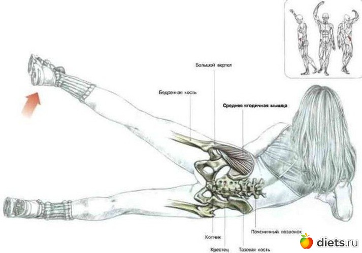 25 ����: ���������