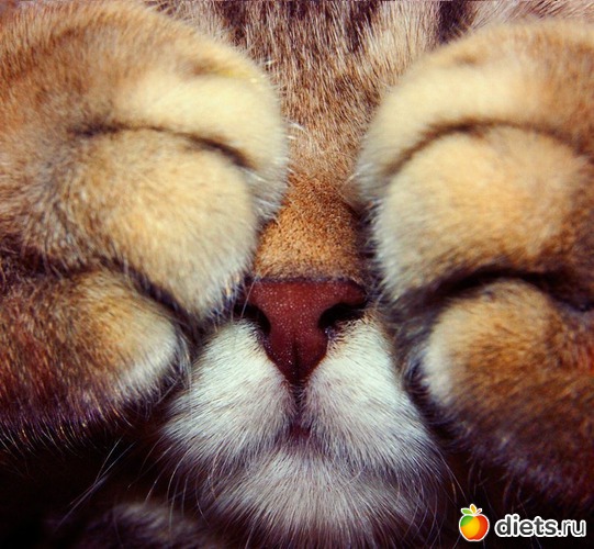 6 ����: �������