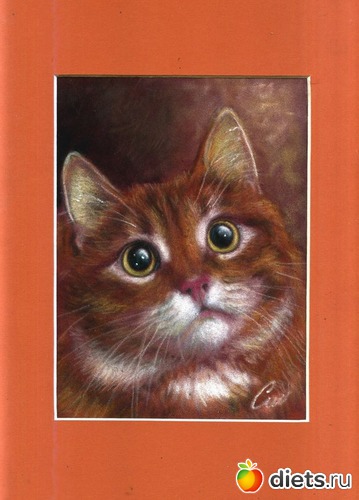 35 ����: ���� ������ �������� � ��� ������ � �������