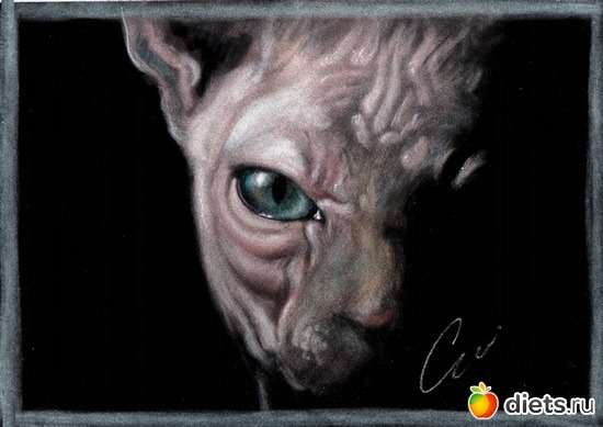 36 ����: ���� ������ �������� � ��� ������ � �������