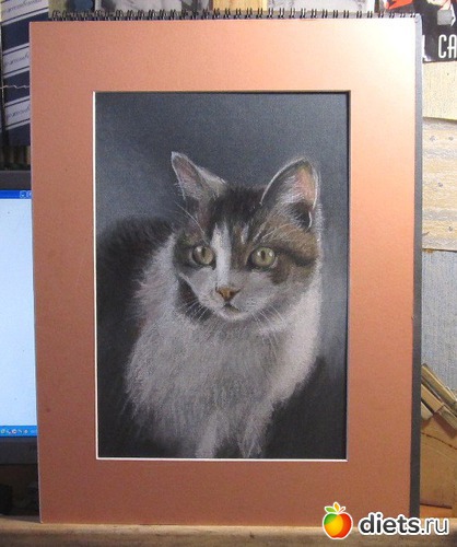 37 ����: ���� ������ �������� � ��� ������ � �������