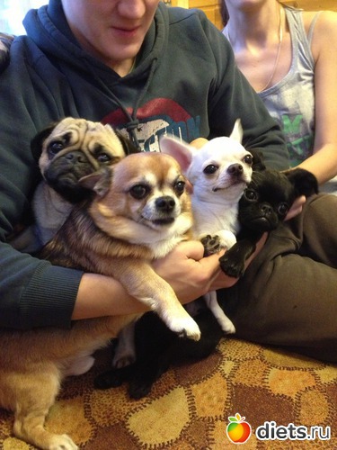 6 фото: Новый год 2013