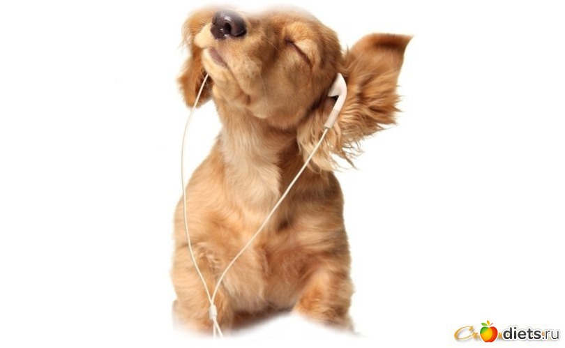 ....����� ������������ ������, ������: �������-���