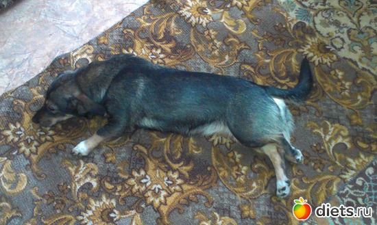 12 ����: ������