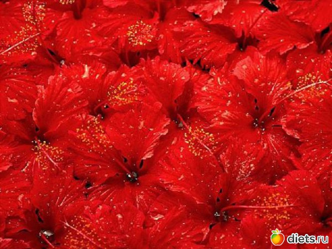 4 фото: Открытки