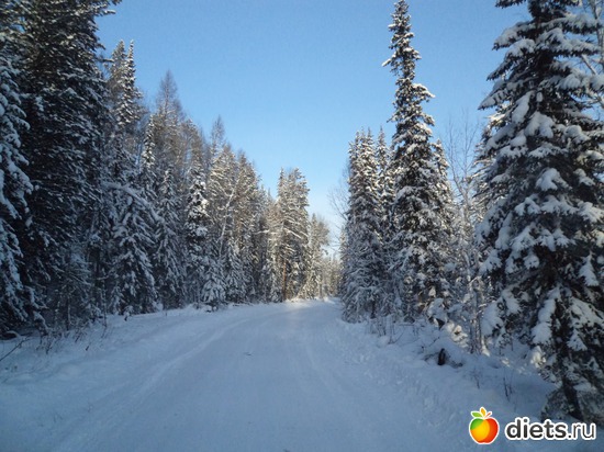 7 фото: зима