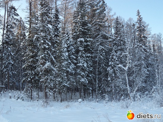 8 ����: ����