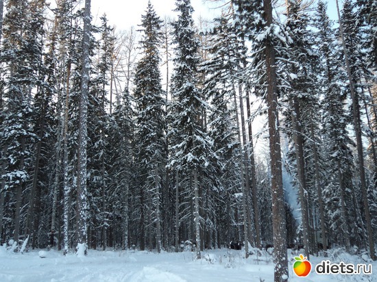 10 фото: зима
