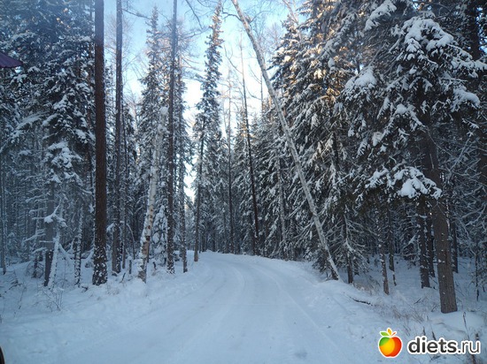 11 фото: зима
