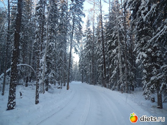 12 ����: ����