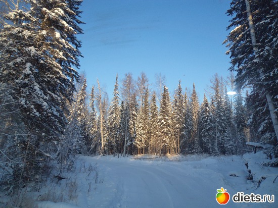 ������ ���-��� ������������, ������: ����