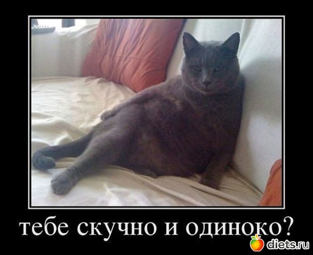 6 фото: Давайте посмеемся