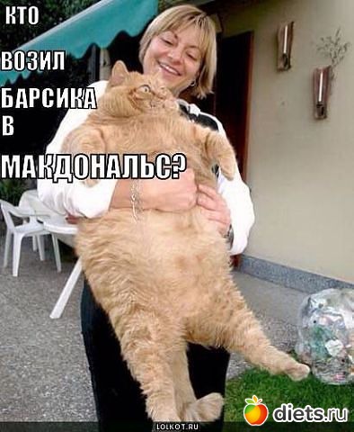 ������� ���������