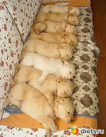 Давайте посмеемся