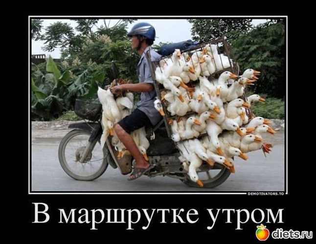 19 фото: Давайте посмеемся