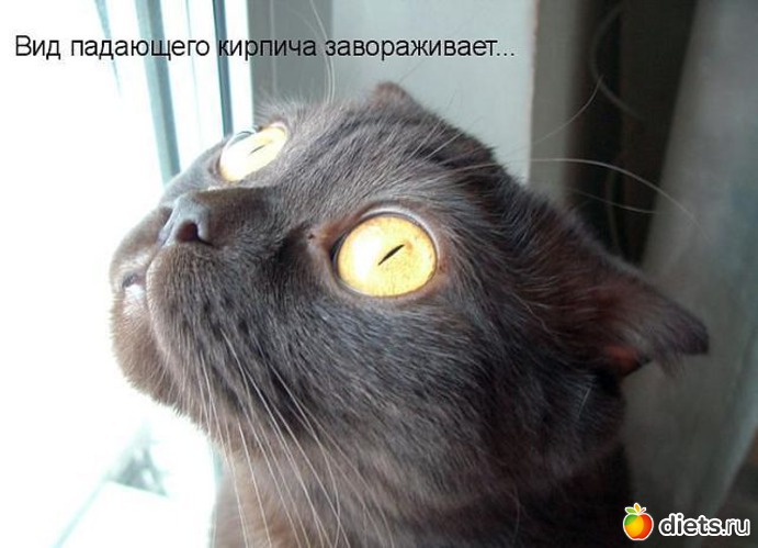 20 ����: ������� ���������