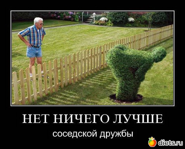 23 фото: Давайте посмеемся