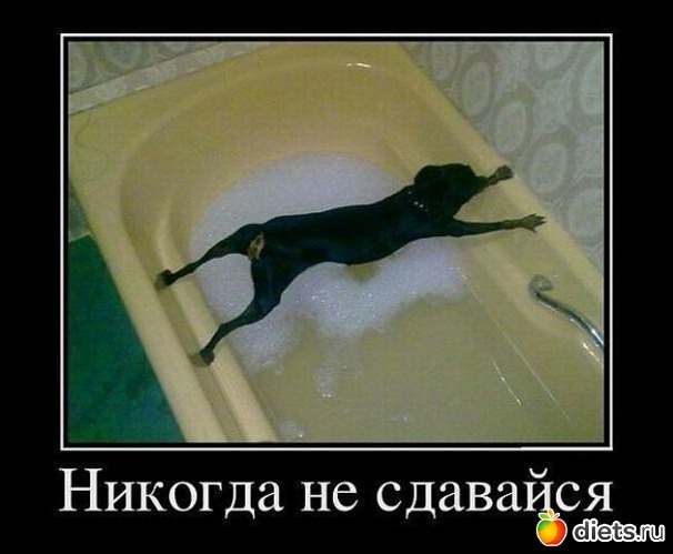 24 фото: Давайте посмеемся