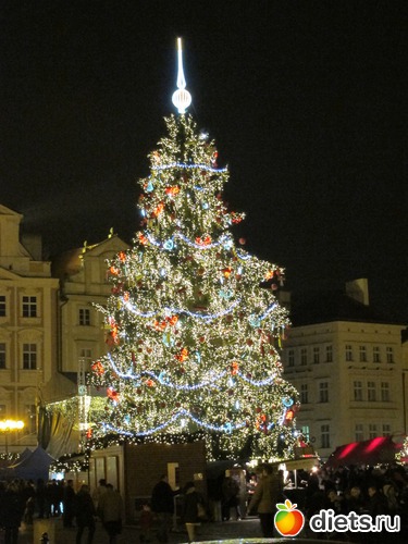 �����, ���� �� ������������� �������, ������: ����-����� 2012