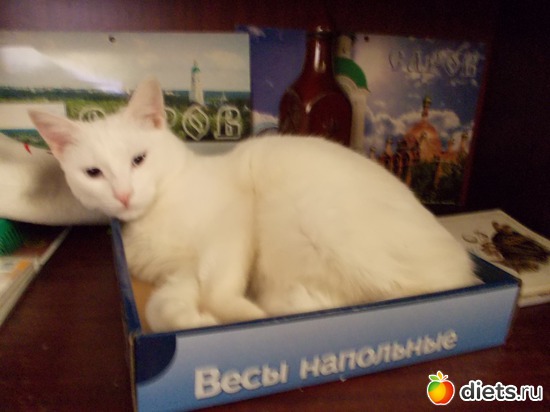 3 ����: �����������, ��� ��������� ����. ��� � ���. ����� � ������.