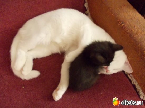 9 ����: �����������, ��� ��������� ����. ��� � ���. ����� � ������.