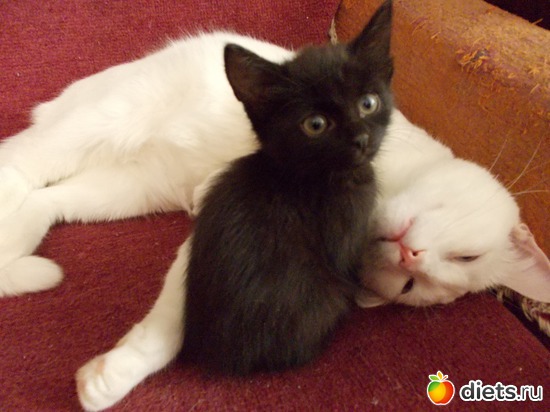 10 ����: �����������, ��� ��������� ����. ��� � ���. ����� � ������.