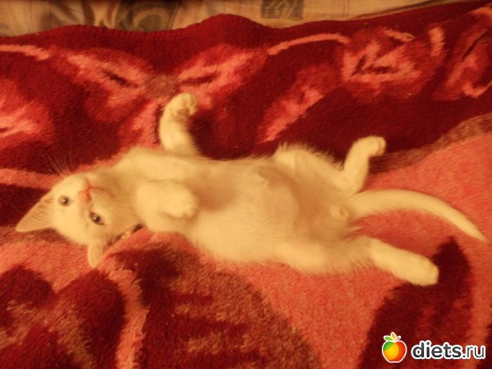 13 ����: �����������, ��� ��������� ����. ��� � ���. ����� � ������.